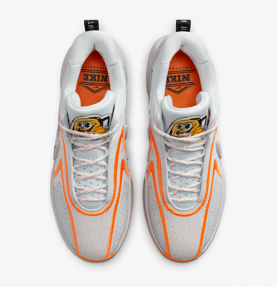 Nike Cosmic Unity 2