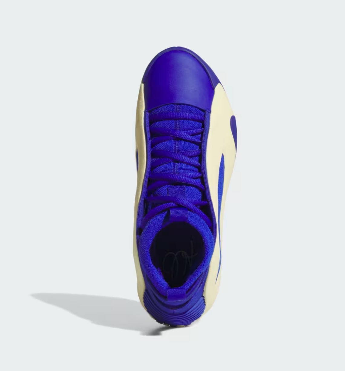 Adidas Harden Vol 8 Blue